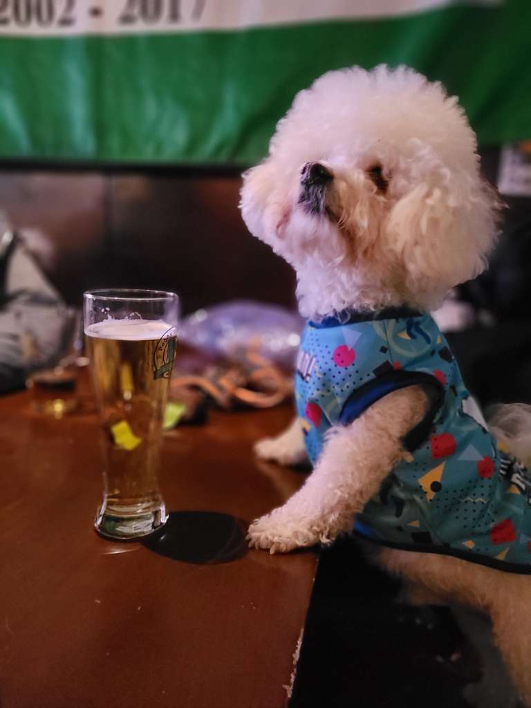 WeChat Image_20220516190739